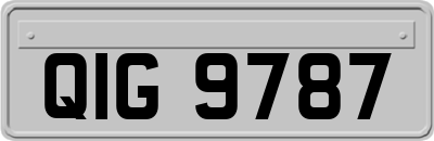 QIG9787