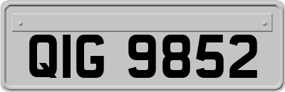 QIG9852