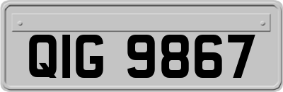 QIG9867