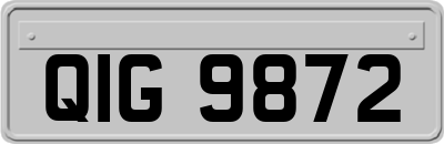 QIG9872