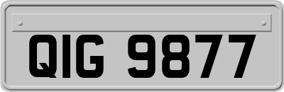 QIG9877