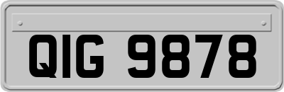 QIG9878