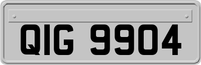 QIG9904