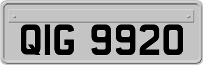 QIG9920