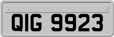 QIG9923
