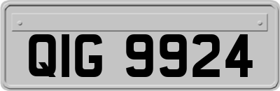 QIG9924