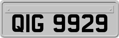 QIG9929