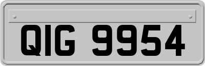 QIG9954