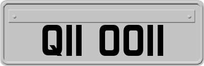 QII0011
