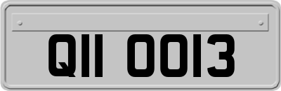 QII0013