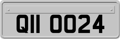 QII0024