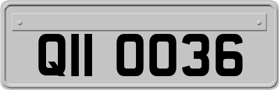 QII0036