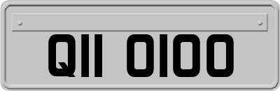 QII0100