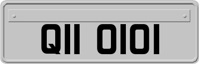 QII0101