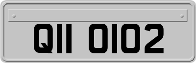 QII0102