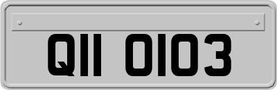 QII0103