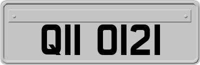 QII0121