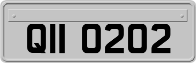 QII0202