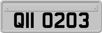 QII0203