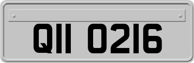 QII0216
