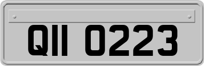 QII0223
