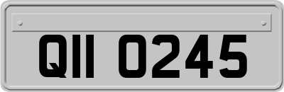 QII0245
