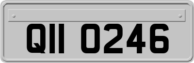 QII0246