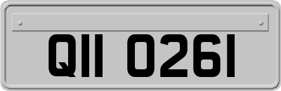 QII0261