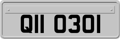 QII0301