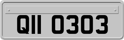 QII0303