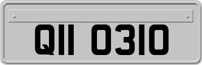 QII0310