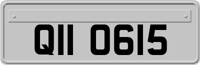 QII0615