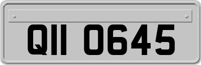 QII0645