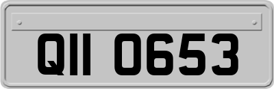QII0653