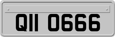 QII0666