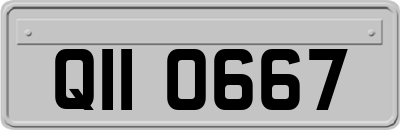 QII0667
