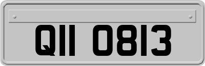 QII0813