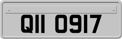 QII0917