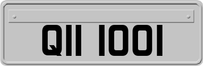 QII1001