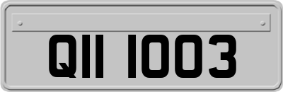 QII1003