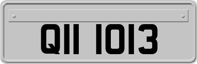 QII1013