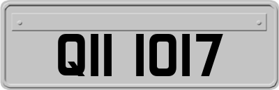 QII1017