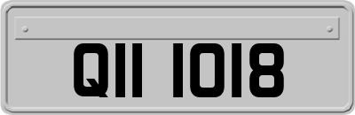 QII1018