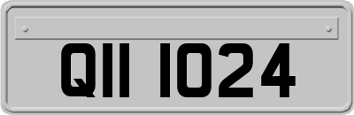 QII1024