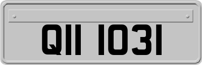 QII1031