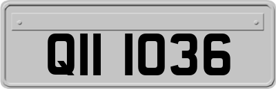 QII1036
