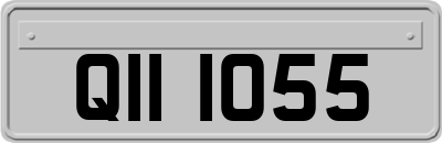 QII1055