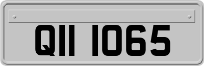 QII1065
