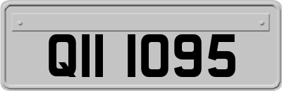 QII1095