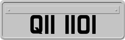 QII1101